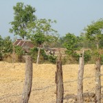 Rural Thailand as Viewed from a tractor (12)