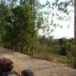 Rural Thailand as Viewed from a tractor (17)