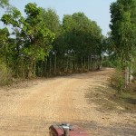Rural Thailand as Viewed from a tractor (7)