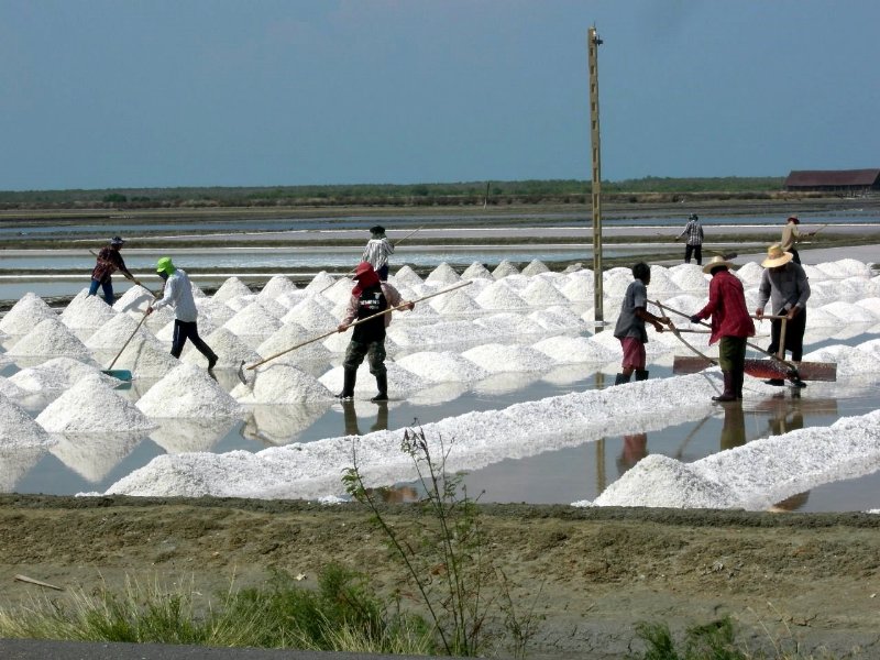 Thai salt Farm